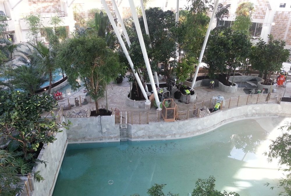 Center Parcs, Woburn Forest; Subtropical Swimming Paradise